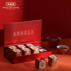 赤壁青砖茶小罐洞茶新域480g赵李桥羊楼洞砖茶礼品茶湖北茶叶特产