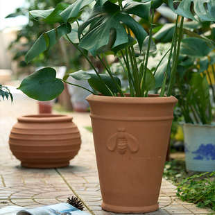大口径花盆红陶矮胖宽口透气透水绿植种树盆栽庭院园艺花园室外盆