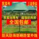 大号户外遮阳伞晴雨两用伞太阳伞庭院伞广告伞沙滩伞摆摊伞3米3.4