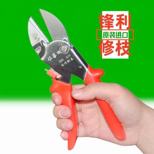 进口修枝剪刀树枝剪果树修枝剪园艺修树枝剪刀园林剪花剪修枝工具