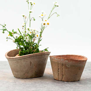 扁盆粗陶红小黑花盆兰花植物大盆景陶盆阳台庭院个性月季控根盆具