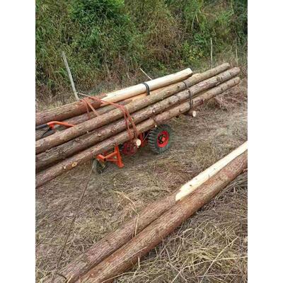 汽油电动柴油三轮车果园鸡公车工地手推车山地爬坡农用独轮运输车