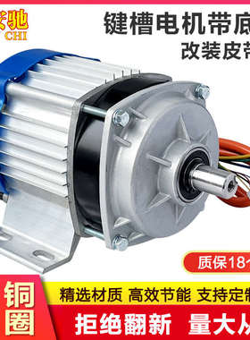 无刷电机控制器全套24v48v550W改装低速定速旋钮设备800w1000w