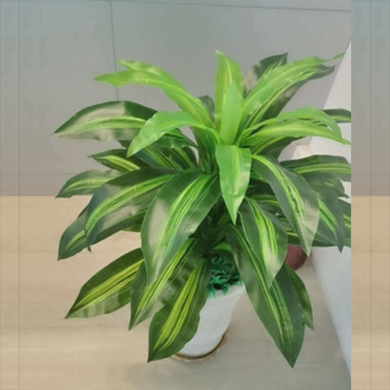 仿真植物假树盆景大型绿盆栽巴西木摆设室内酒店铁客厅植新疆包邮