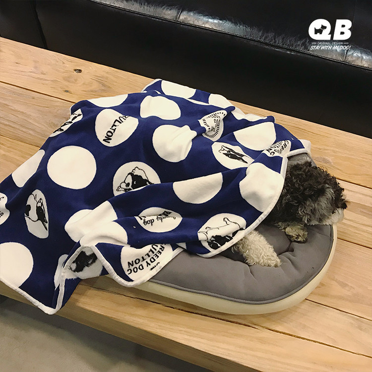 QB狗狗猫咪毛毯四季被子保暖狗垫子雪纳瑞泰迪小型犬春秋宠物毯子,宠物/宠物食品及用品,猫狗垫子,淘宝优惠券,粉丝福利购,淘宝优惠卷