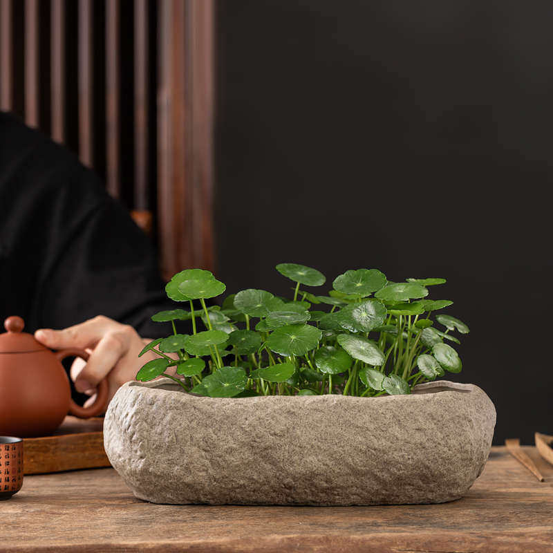 仿石头水培器皿长方形陶瓷花盆家用水仙花铜钱草碗莲盆栽盆景盆子
