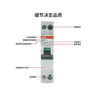 ABB漏电保护1P+N进口断路器DPN一位双极GSN单片16A20A25A空气开关