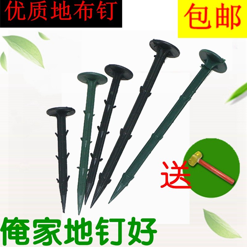防草布地钉塑料地钉加粗加长果园艺地布钉拉枝固定大棚地膜除草布,户外/登山/野营/旅行用品,地钉,淘宝优惠券,粉丝福利购,淘宝优惠卷