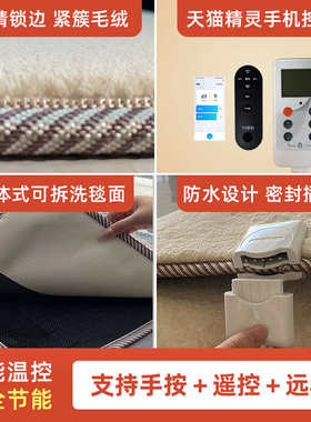 分体式石墨烯电热地毯家用客厅地暖垫可拆洗加热地毯电热垫地暖毯