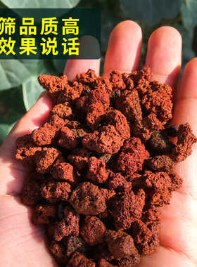 腾冲天然火山石颗粒土兰花多肉透气铺面专用土火山岩石鱼缸50斤