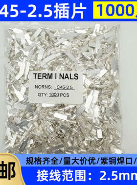 C45插片1.5/2.5/6/10/16/35/50/70平方齐全紫铜件焊接片端子铜鼻