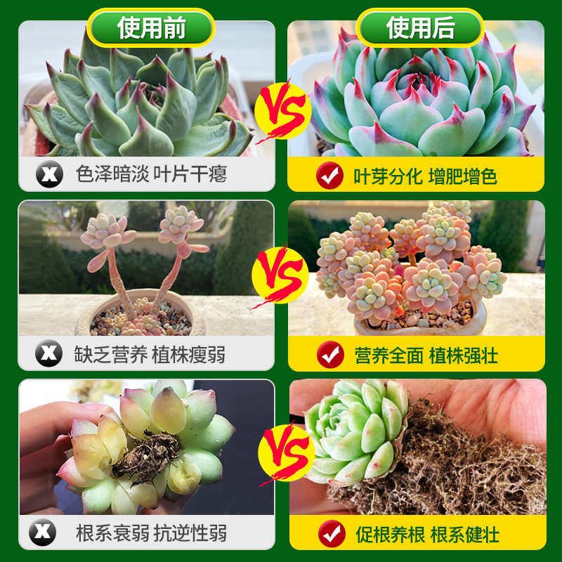 多肉营养液专用肥优芽素植物通用型生根矮胖素上色剂增色剂花肥料 - 实物图