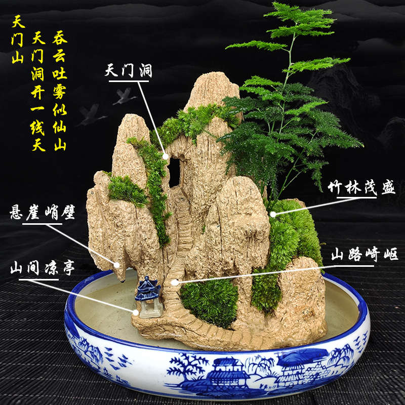 养好发货假山盆景吸水造景奇石头天然植物上水山水石原小室内摆
