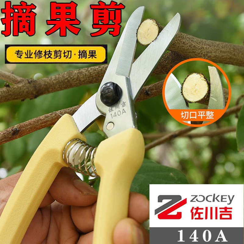 佐川吉140A直头台湾稀果剪台湾修枝剪盆景剪刀果树苗木园艺摘果剪