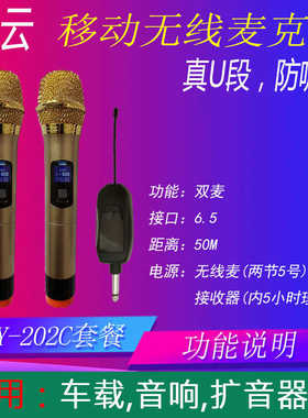 移动音响单反手机电脑家用户外一体无线话筒麦克风