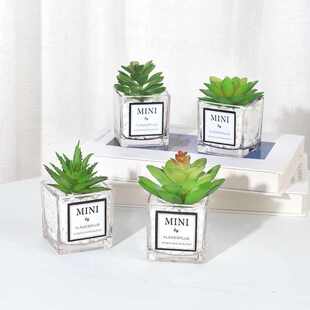 仿真仙人掌多肉客厅摆件创意小盆栽装饰品绿植假花摆件桌面小摆件