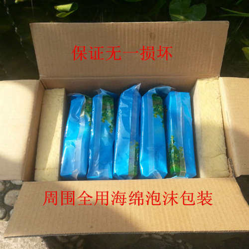 库斗鱼饵饼彭霸二代方块鱼饵翻板钩饵爆炸钩饵海杆抛杆饵包邮溪流