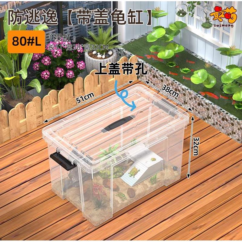 新款造景缸养箱爬饲养缸小鱼宠塑料家用周转箱乌龟客厅乌龟桌面
