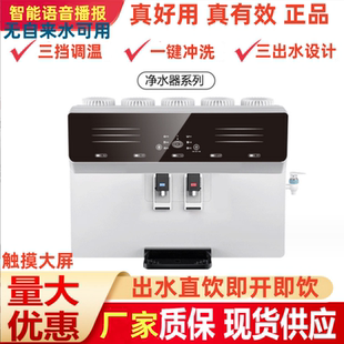 冷热净水器家用直饮厨房壁挂纯水机加热一体ro反渗透自来水过滤