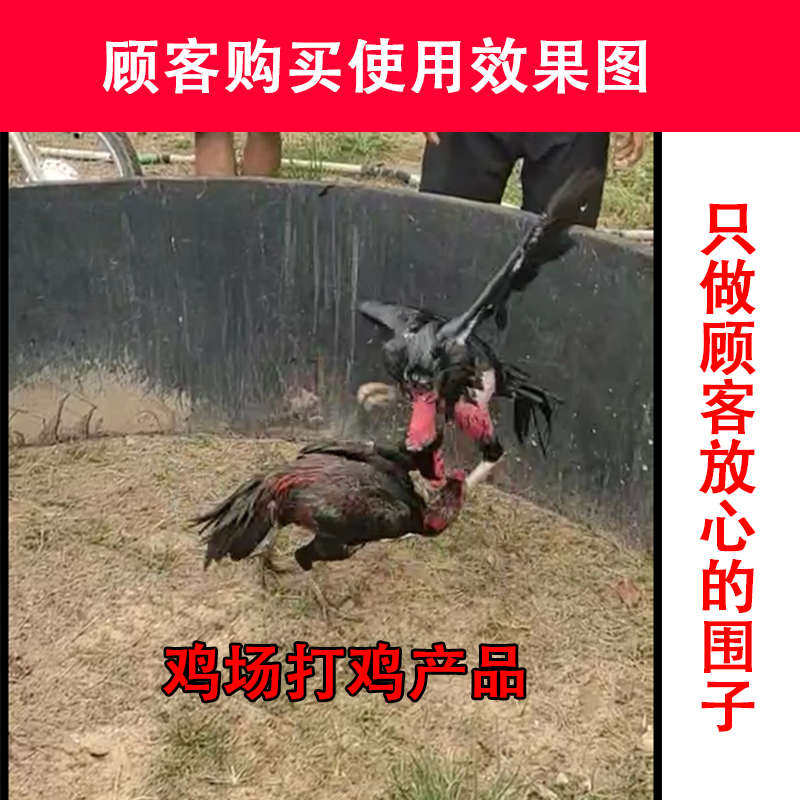 斗鸡斗鸡用品斗鸡训练用品斗鸡围子斗鸡围栏训练斗鸡围子地毯包邮