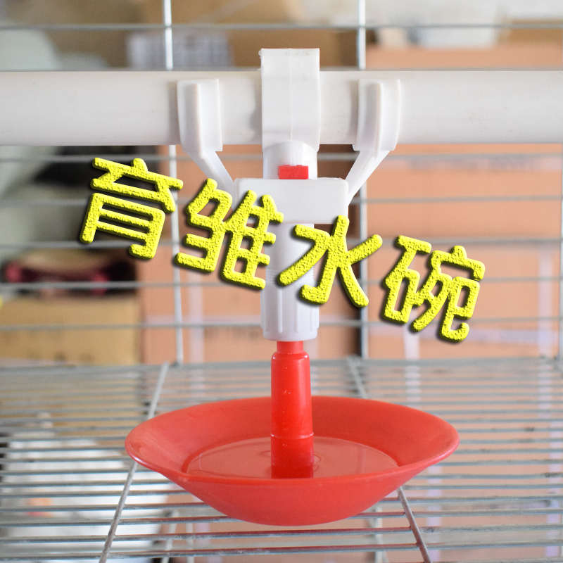 养小鹅鸭子育雏自动饮水器喂水器育雏水碗鸡用挂式全自动喂鸡鹅
