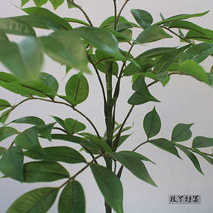 高端仿真绿植物漆木室内商场店铺酒店橱窗客厅大型落地装饰盆景载