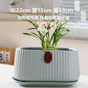 红陶瓷家用网值底托颜花盆盘清仓高带肉处理多花盆长方形盆盆大