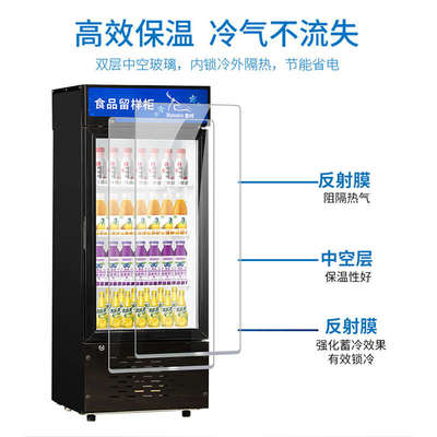 雪村幼儿园食品留样柜保鲜柜立式饮料冷藏展示柜单门冰箱迷你小巧