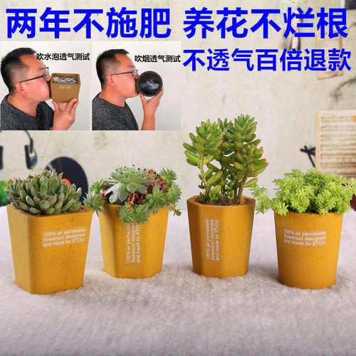 老盆友透气花盆0809会呼吸的XTOU多孔陶瓷小清新多肉度夏黑腐新奇