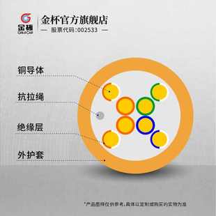 金杯室内非屏蔽6类超五类网线 数字通信电缆铜芯电脑宽带线100米