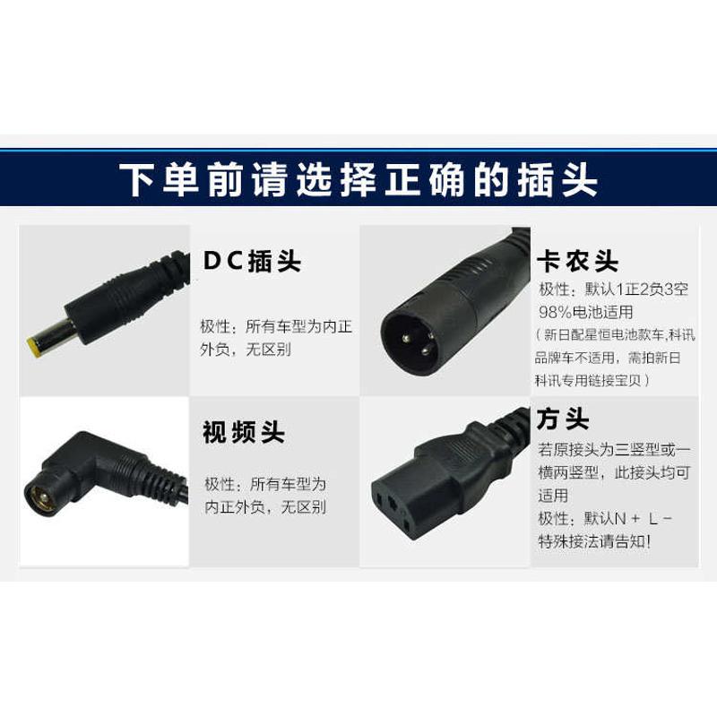 比德文电动车原装锂电充电器48V2A54.6V卡农头麦克风头原厂专用