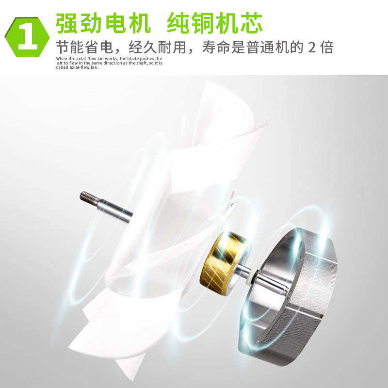 天花排气扇卫生间10寸吸顶直排式换气扇静音吊顶排风扇抽风通风器