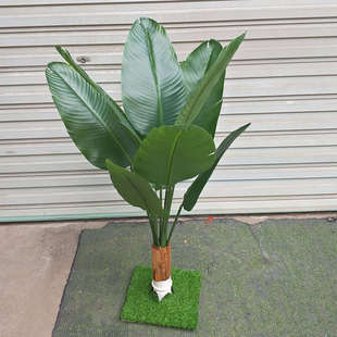 芭蕉树绿植塑料香蕉树仿真道具假树叶装饰超市植物水果装饰花模型