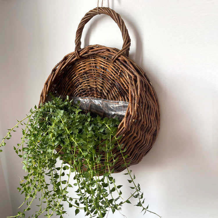 柳编藤编壁挂花盆花篮吊篮手工编织水培土培阳台墙壁悬挂式篮子