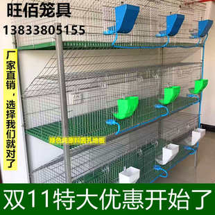兔笼 养殖9位种兔笼子加粗加密免清粪热镀锌兔子笼母繁殖大子母笼