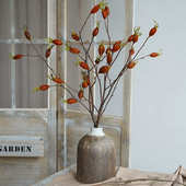 栀子果干花高级感真花束客厅摆件树枝树干装 饰干花枝天然风干果实