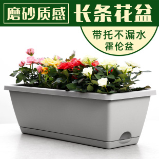 长条长方形养花种菜神器家庭阳台壁挂花盆塑料霍伦盆种 挂起来