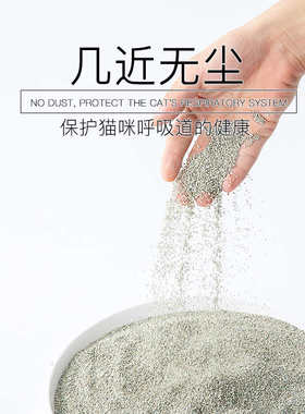 魔粒膨润土猫砂进口无香锁水快速结团无尘活性炭除臭矿石猫砂10磅