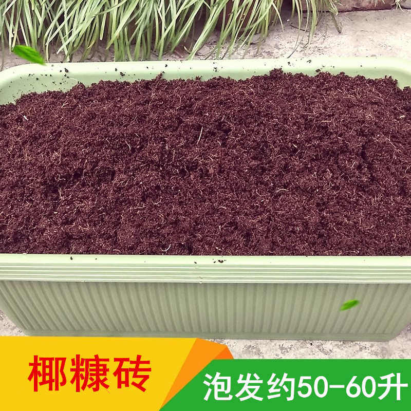 椰糠砖包邮进口大椰砖椰土椰粉营养土多肉土花泥花土基质宠物垫材,鲜花速递/花卉仿真/绿植园艺,介质/营养土,淘宝优惠券,粉丝福利购,淘宝优惠卷