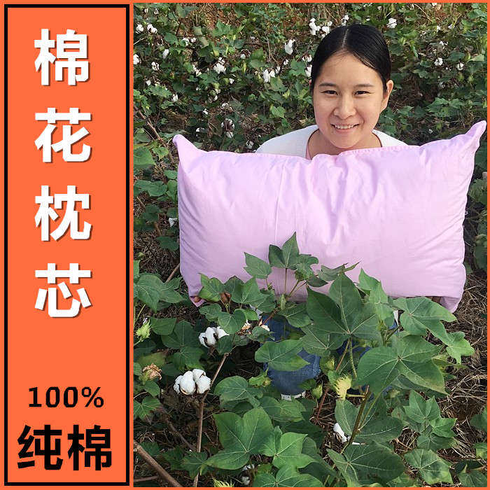 纯棉花枕头芯学生枕头单人宿舍枕芯成人全棉护颈枕儿童枕芯软枕头