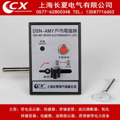 户内高压电磁锁DSN-BMZ BMY/AMZ(Y) I/Y(Z) DMY(Z)手柄式开关柜门
