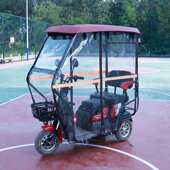 腾源全封闭电动三轮车车棚休闲小巴士透明雨棚遮阳篷老年遮雨棚