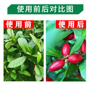 神秘果专用肥营养液变味果肥料植物有机肥料果树有机复合颗粒缓释
