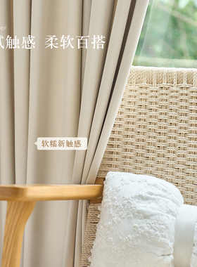 法式复古窗帘白色新款天鹅绒轻奢客厅卧室遮光丝绒简约风天鹅绒布