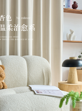 法式复古窗帘白色新款天鹅绒轻奢客厅卧室遮光丝绒简约风天鹅绒布