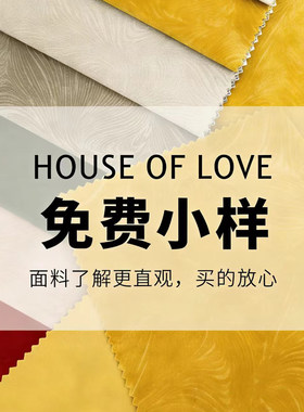 窗帘丝绒绒布遮光简约现代