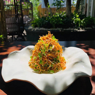 酒店会所异形大董意境菜分子料理盘融合菜私房菜小炒创意冷菜餐具