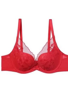 安莉芳旗下安朵刺绣网纱内衣女深V聚拢上托胸罩红色文胸HB0165U