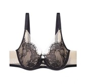 安莉芳专柜正品 睫毛蕾丝超薄内衣大胸显小单层围文胸EB00487 599