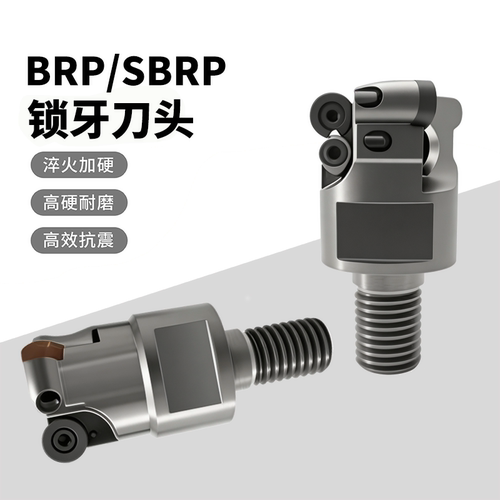 BRP/SBRP系列RPMT10T3